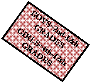 2020  FALL  H.S.  GIRLS 